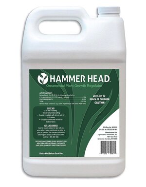 Planet Earth Creations Hammer Head Gallon