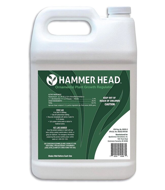 Planet Earth Creations Hammer Head Gallon