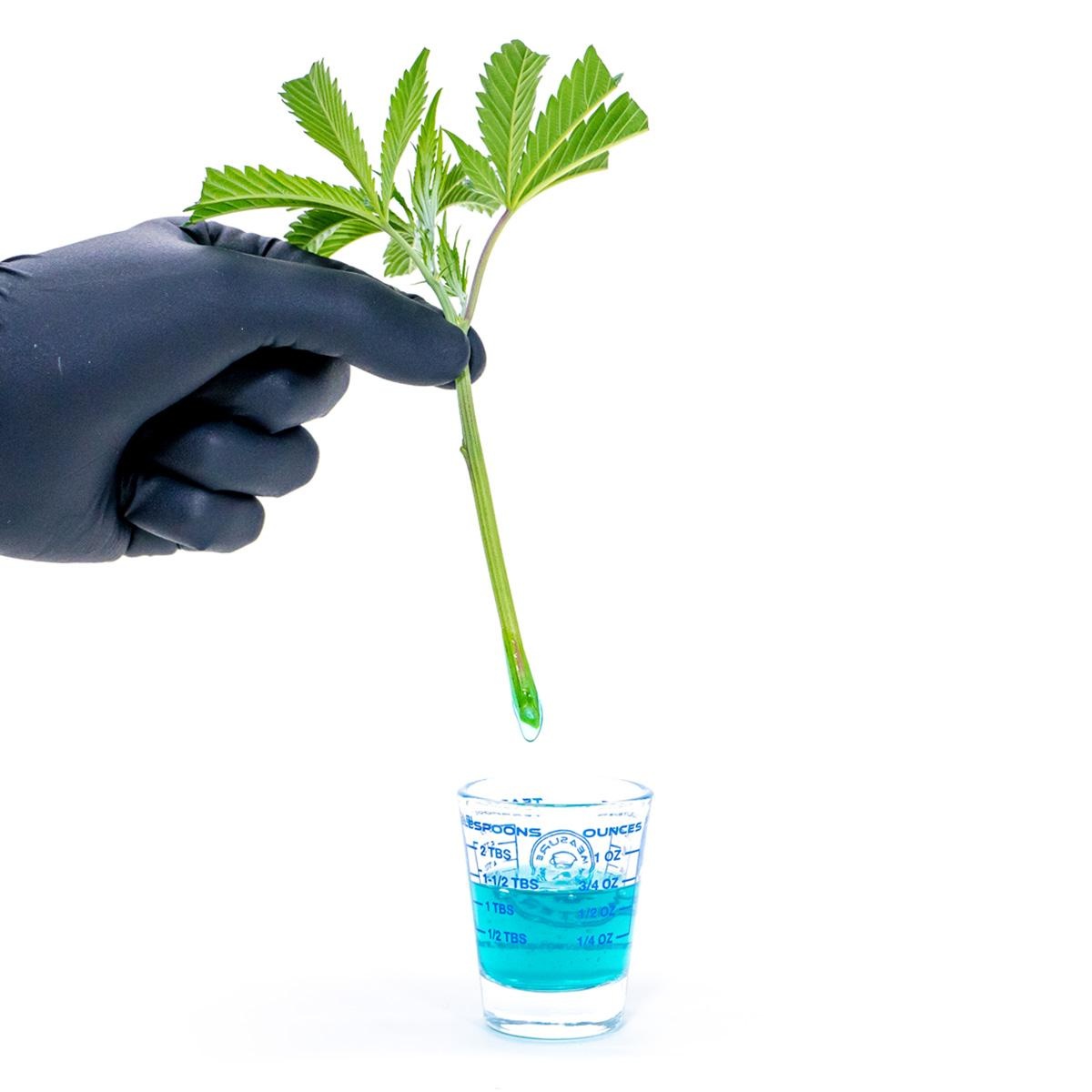 Athena Athena Cuts 7 oz