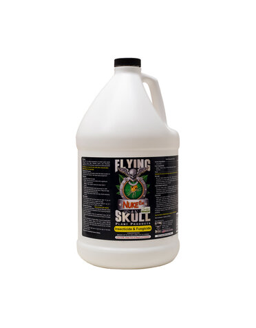 Flying Skull Nuke Em