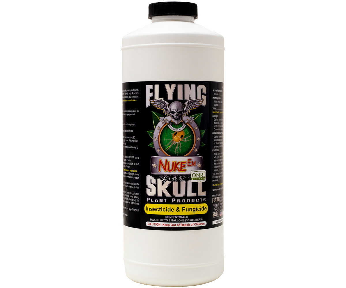 Flying Skull Nuke Em