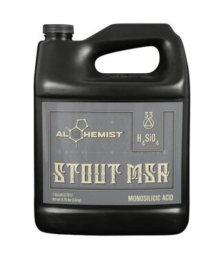 Alchemist MSA Stout