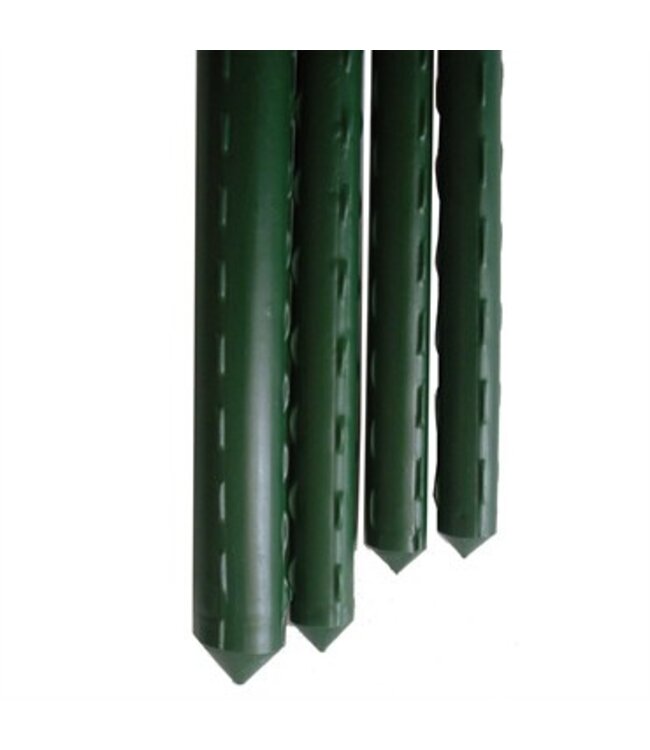 Gardener Select Gardener Select® Green Vinyl Steel Stake