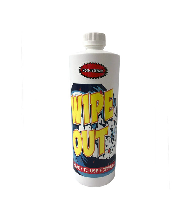 Wipe Out Wipe Out