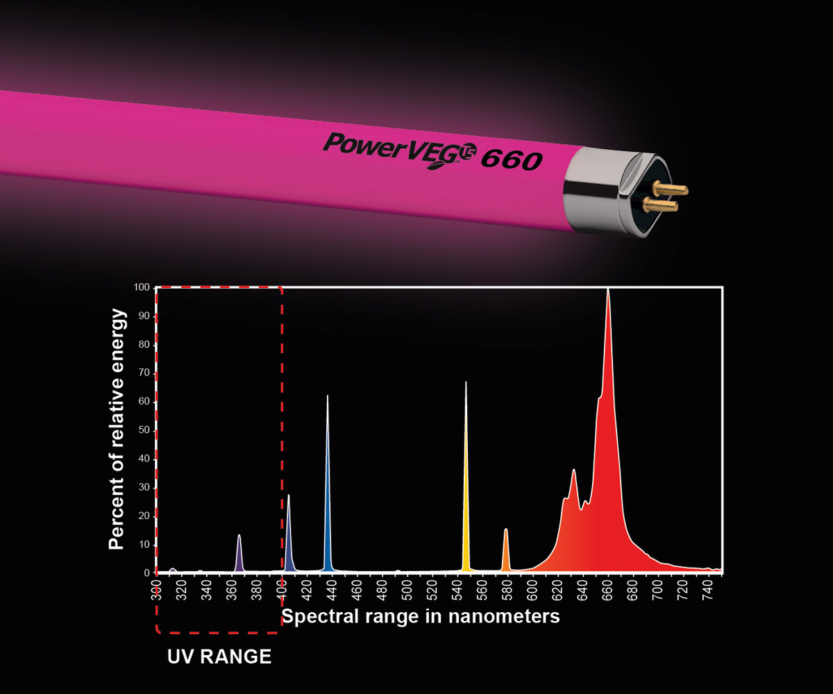 Eye Hortilux T5 Bulb Power Veg