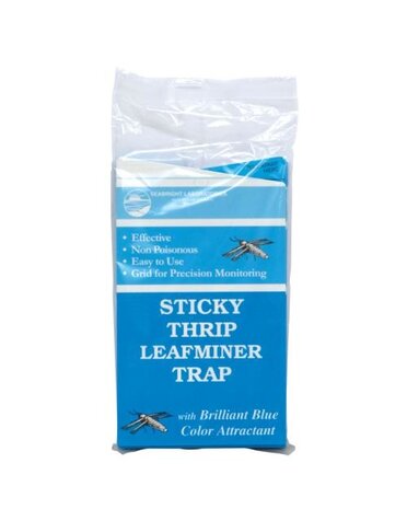 Seabright Laboratories Sticky Thrip Leafminer Trap 5/Pack (80/Cs)