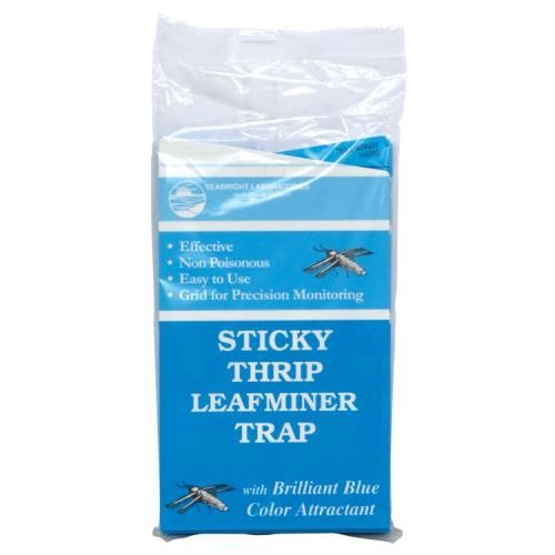 Seabright Laboratories Sticky Thrip Leafminer Trap 5/Pack (80/Cs)