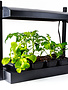 LED fixture Growlight micro garden
