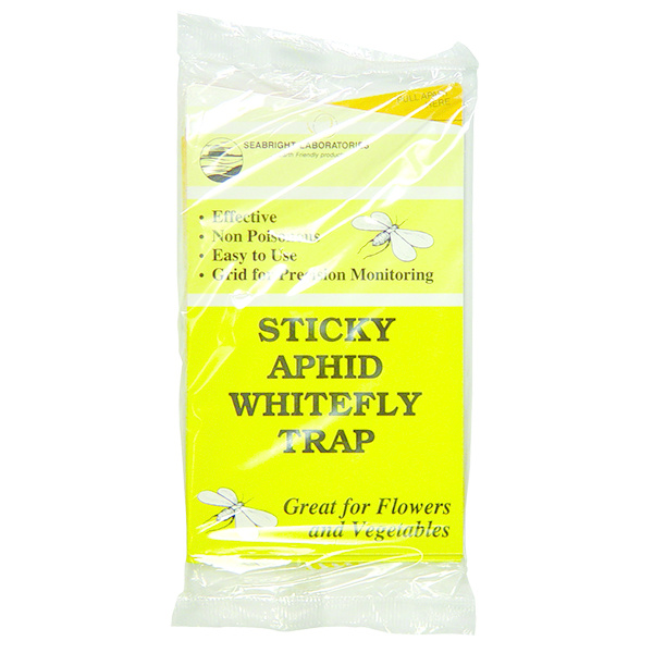Seabright Laboratories Sticky Traps Whitefly 5PK