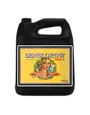 Advanced Nutrients AN Sensi Grow B