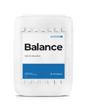 Athena Athena Balance