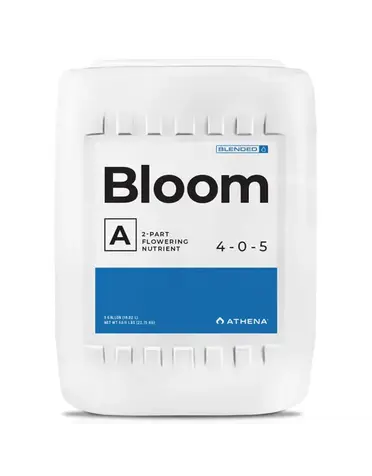 Athena Athena Bloom A
