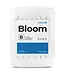 Athena Athena Bloom B