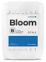 Athena Athena Bloom B