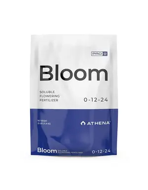 Athena Athena Bloom PRO 25lb