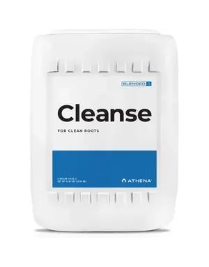 Athena Athena Cleanse