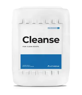 Athena Athena Cleanse