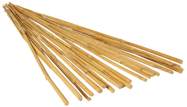 Grow!t Bamboo