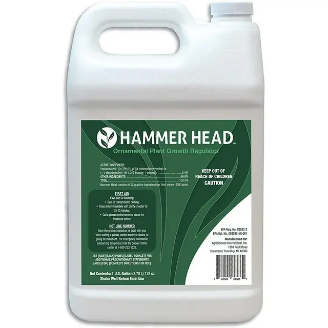 Planet Earth Creations Hammer Head Gallon