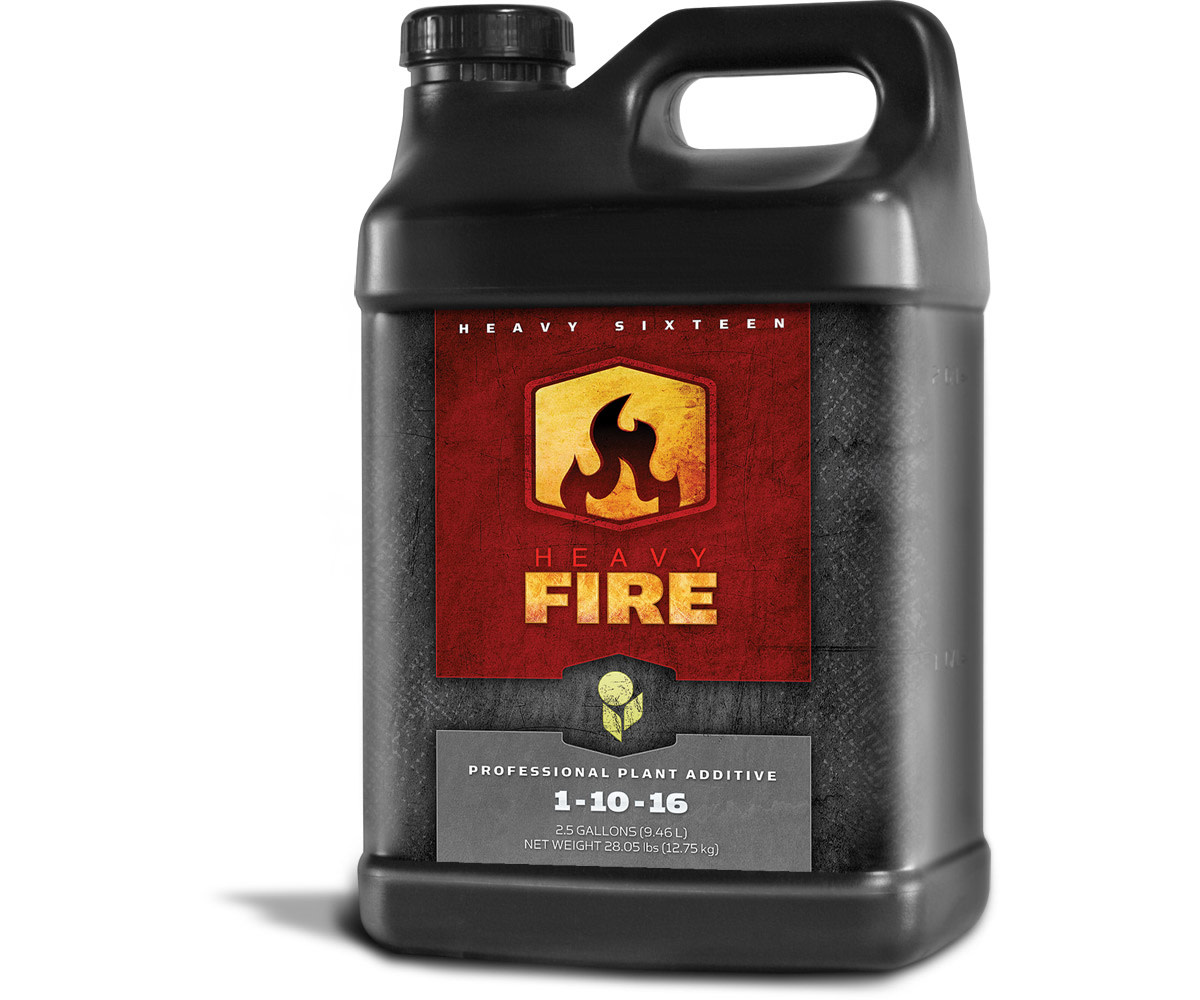 Heavy 16 Heavy 16 Fire