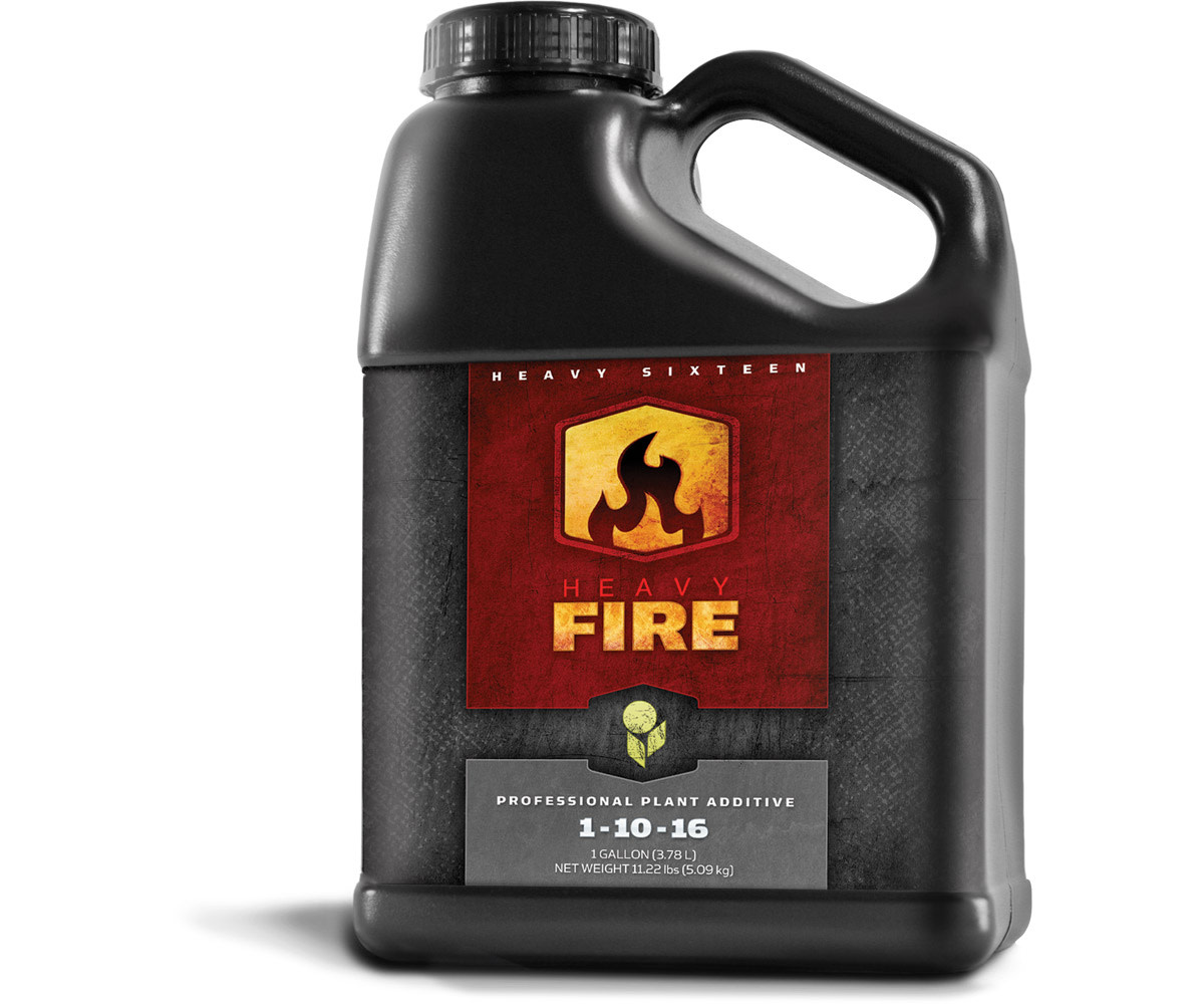 Heavy 16 Heavy 16 Fire