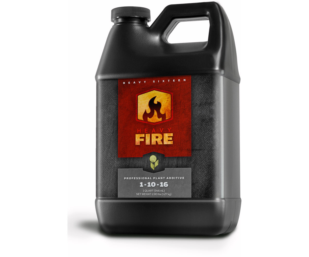 Heavy 16 Heavy 16 Fire