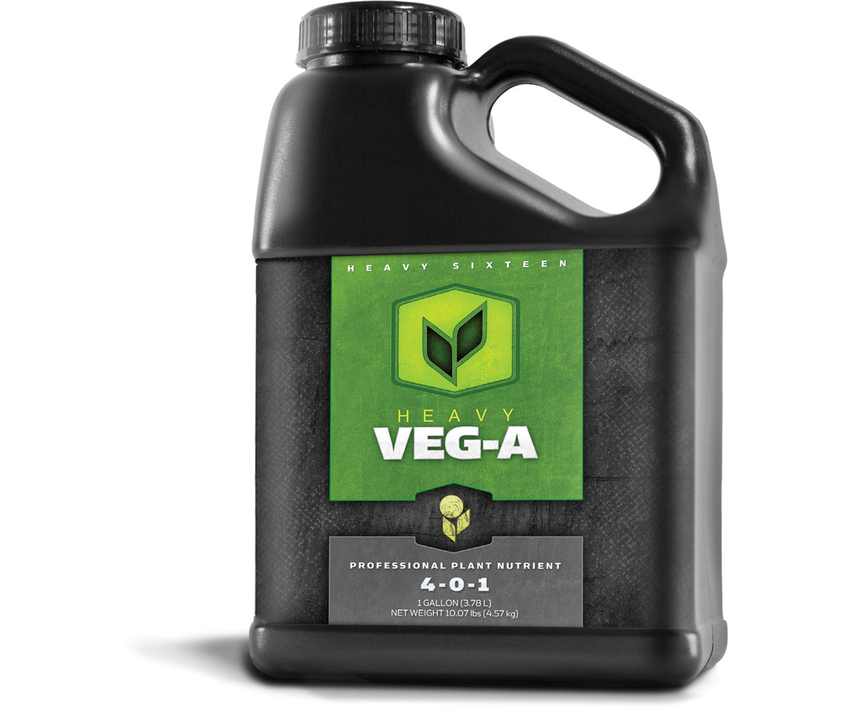 Heavy 16 Heavy 16 Veg A