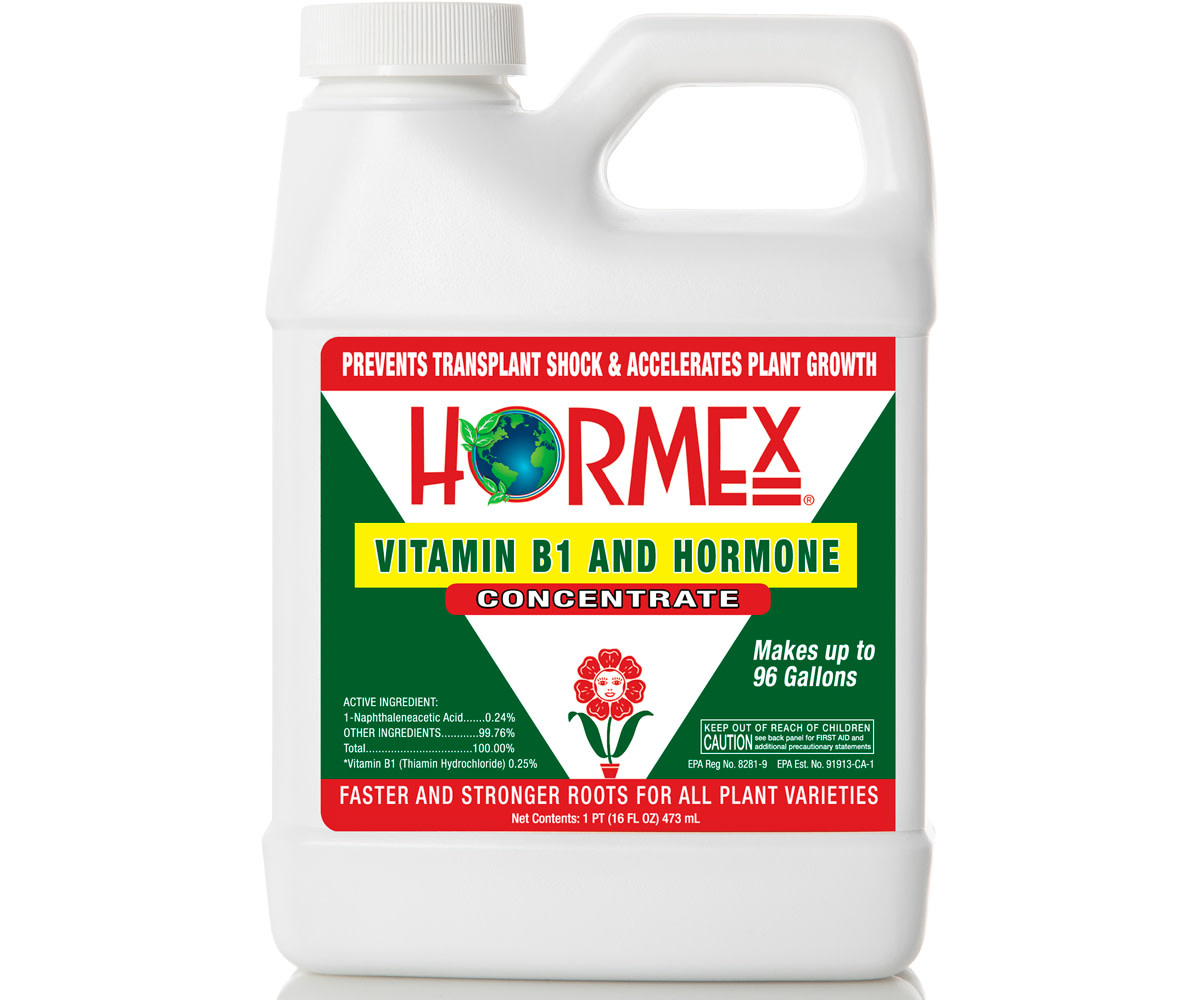 Hormex Hormex Concentrate