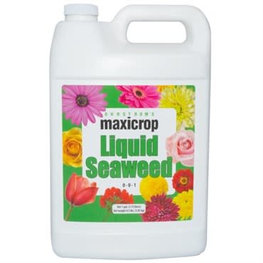 Maxicrop Maxicrop Liquid Seaweed