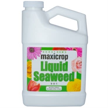 Maxicrop Maxicrop Liquid Seaweed