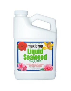 Maxicrop Maxicrop Seaweed Plus Iron