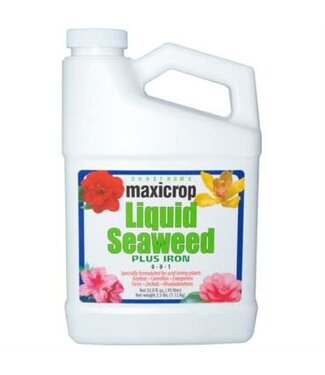 Maxicrop Maxicrop Seaweed Plus Iron