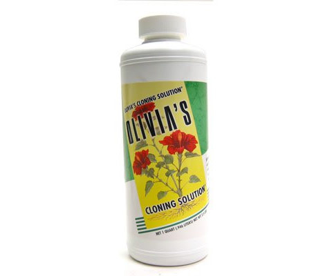 Olivia's Solution Olivia's Cloning Solution