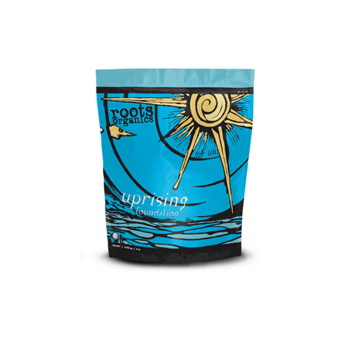 Aurora Innovations RO Uprising Foundation