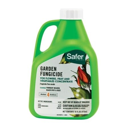 Safer Safer Garden Fungicide 16 OZ Conc