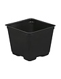 Gro Pro Gro Pro Square Plastic Pot Black 4 in