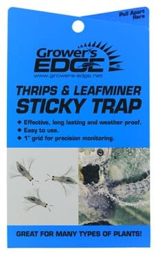 Seabright Laboratories Sticky Thrip Leafminer Trap 5/Pack (80/Cs)