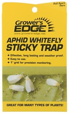 Seabright Laboratories Sticky Traps Whitefly 5PK