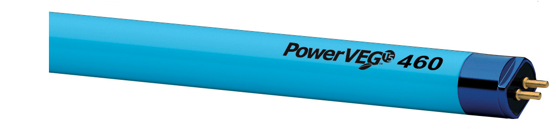 Eye Hortilux T5 Bulb Power Veg