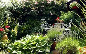 Lawn & Garden