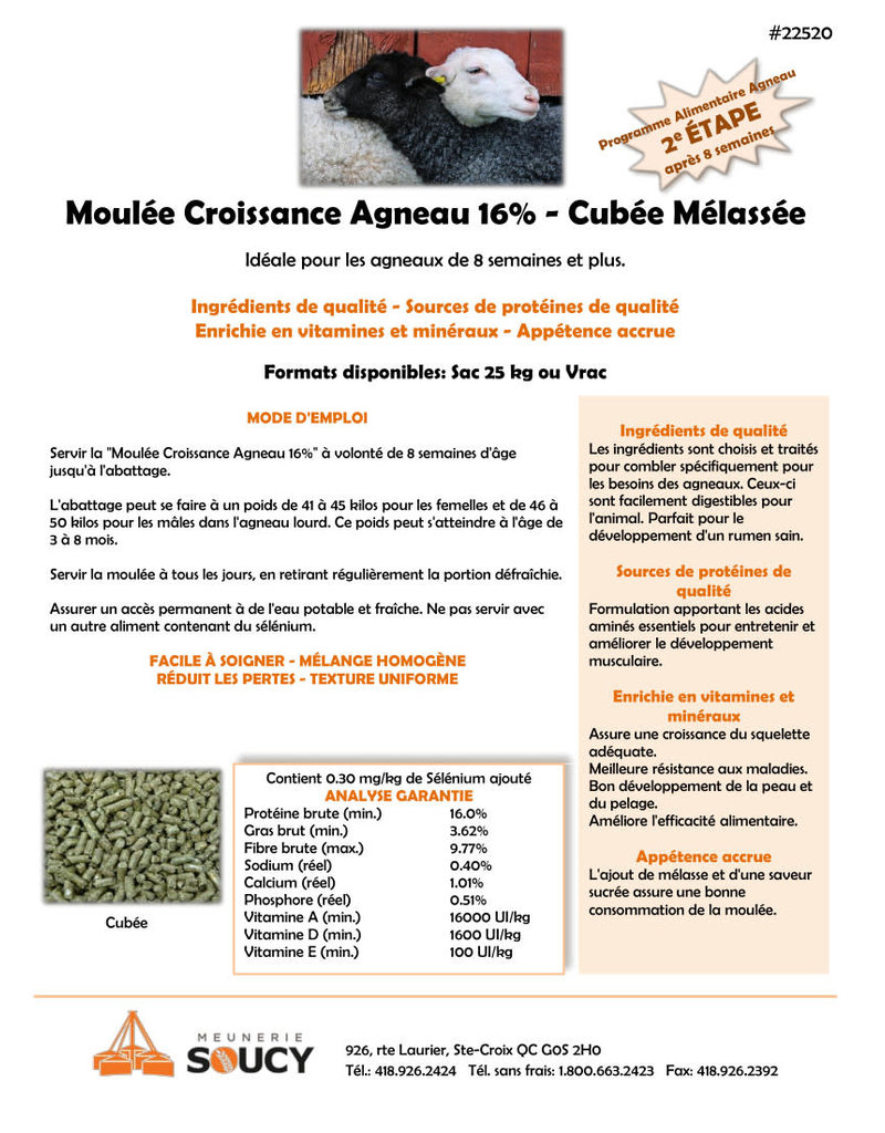 Meunerie Soucy M-22520-Moulée Croissance Agneaux 16% - Cubée Mélassée 25 Kg