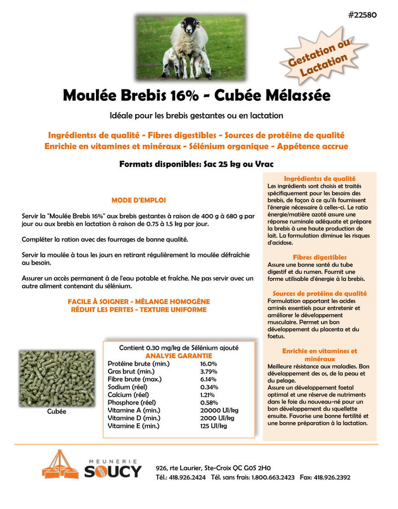 Meunerie Soucy M-22580-Moulée Brebis 16% - Cubée Mélassée 25 Kg