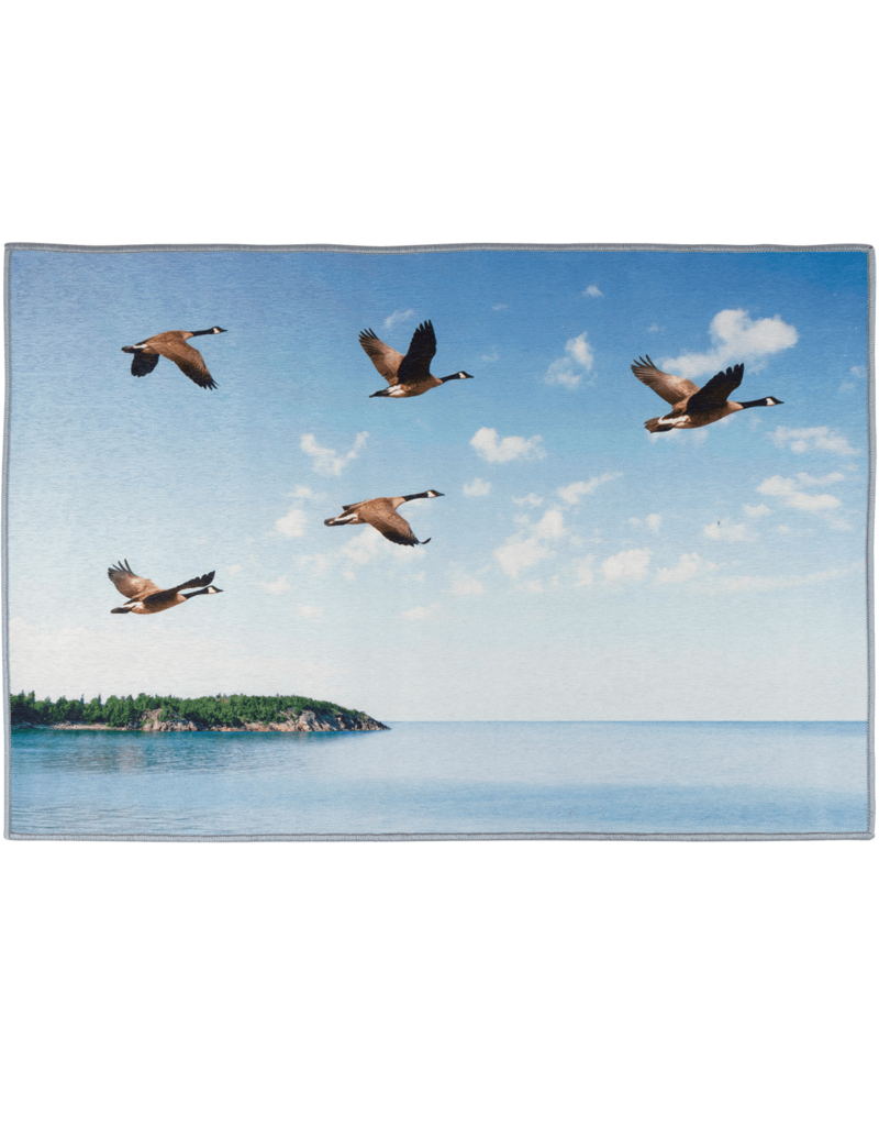 Green Trail Tapis 2'X3' Bernache