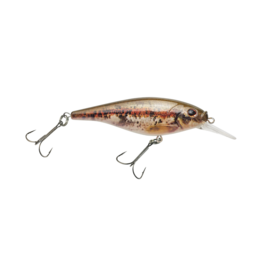 Berkley Flicker Shad 5 Shallow HD Blacknose Dace 2-4'