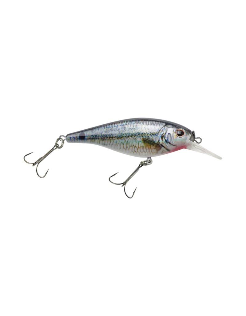 Berkley Flicker Shad 5 Shallow HD Spottail Shiner 2-4'