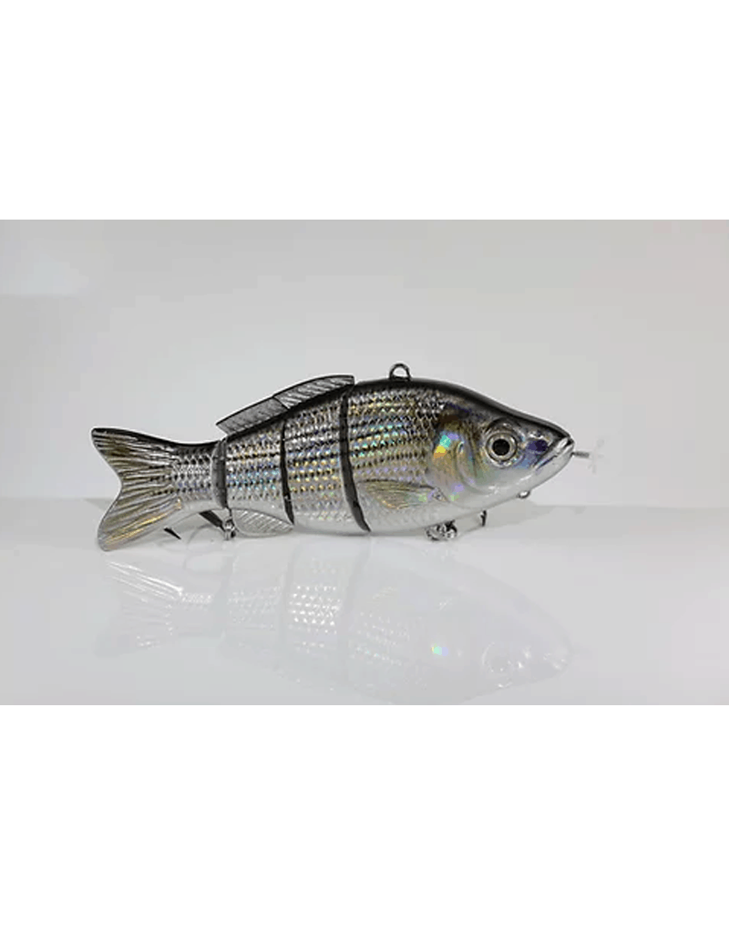 Animated Lure Animatedlure Hybrid Striped Bass Specialty