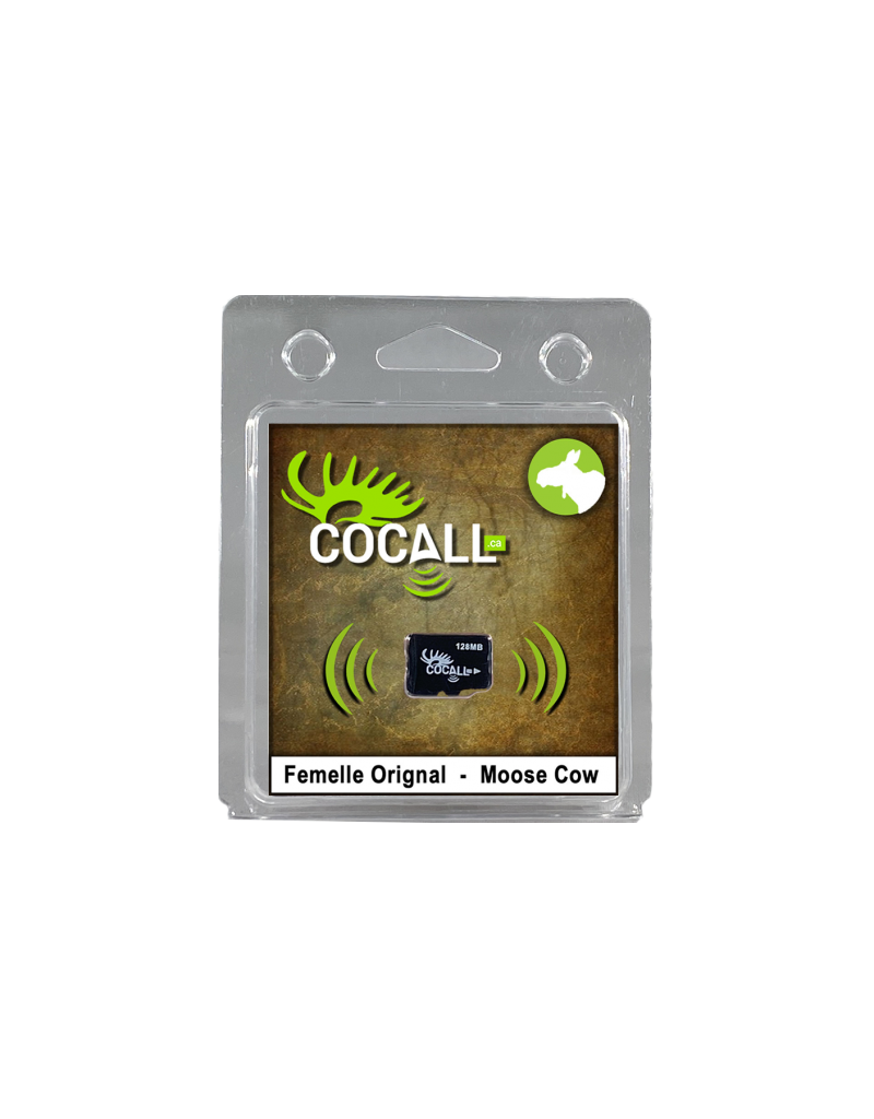 Cocall Carte De Son (MicroSD)