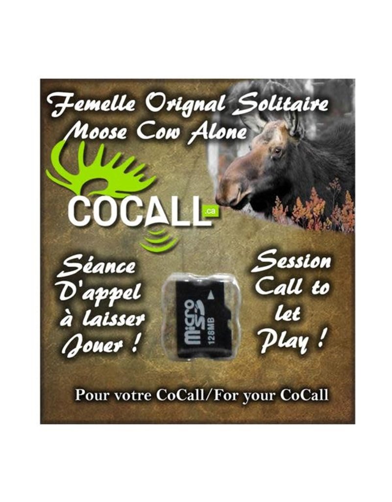 Cocall Carte De Son (MicroSD)