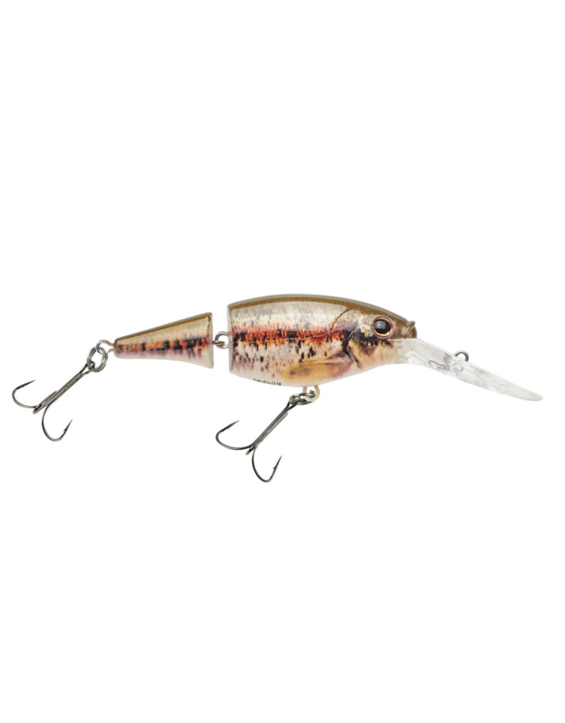 Flicker Shad 5 Jointed HD Blacknose Dace 5-7' - Zone Chasse et