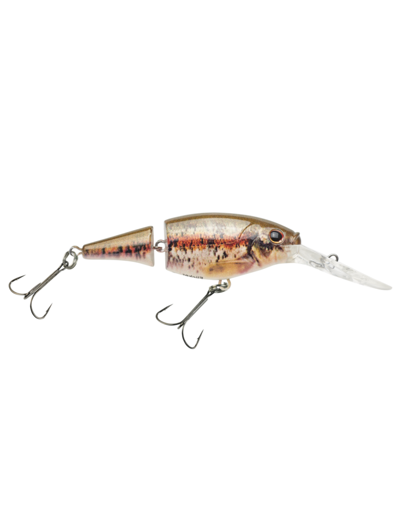 Berkley Flicker Shad 5 Jointed HD Blacknose Dace 5-7'